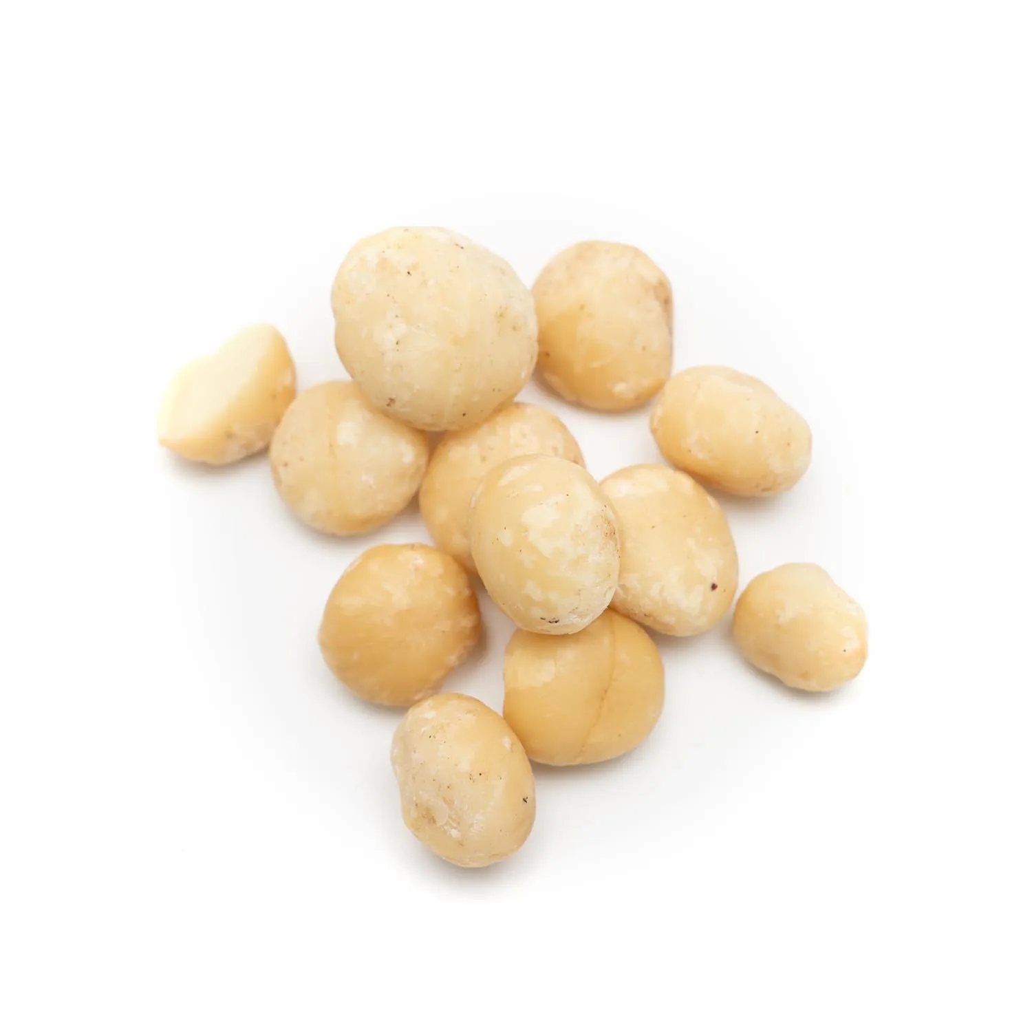 Fresh Macadamia Nuts in Bulk for Wholesale Premium Quality Macadamia Nuts for Large Orders and Retail