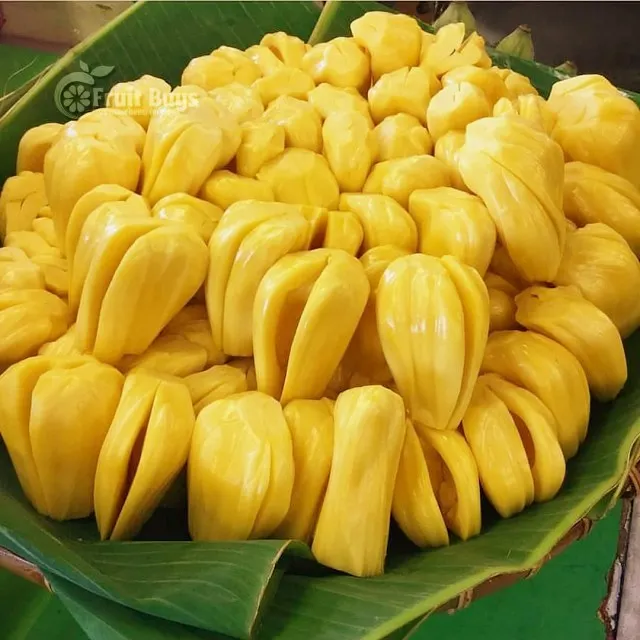 Vietnamese Fresh Fruits According To International HACCP Standard Much Nutrition freeze-dried jackfruit
