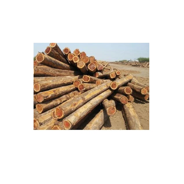 Top Selling Natural Eucalyptus Wood Logs Diverse Types Including Oak Pine Timber Teak Round Pattern Birch Beech Cherry