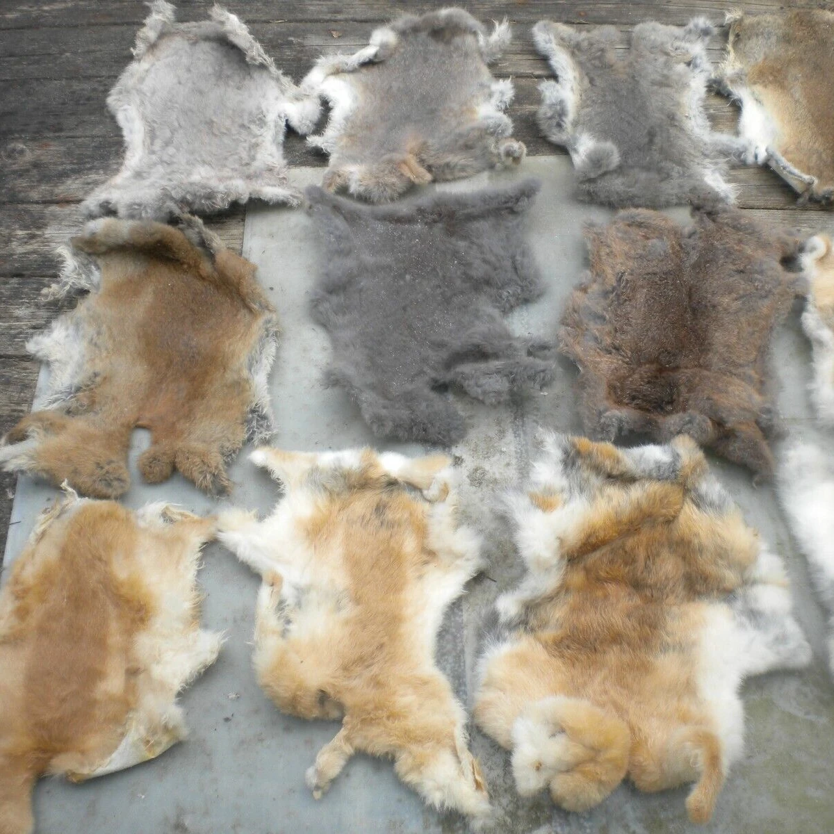 Натуральная кожа кролика и шкуры цена с Заводской ценой