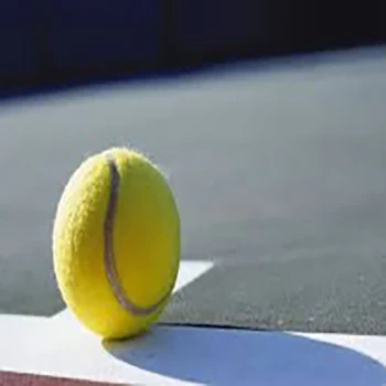 High Quality tennis balls  tube purchase Padel manufacture paddle Racing ball with Professional use