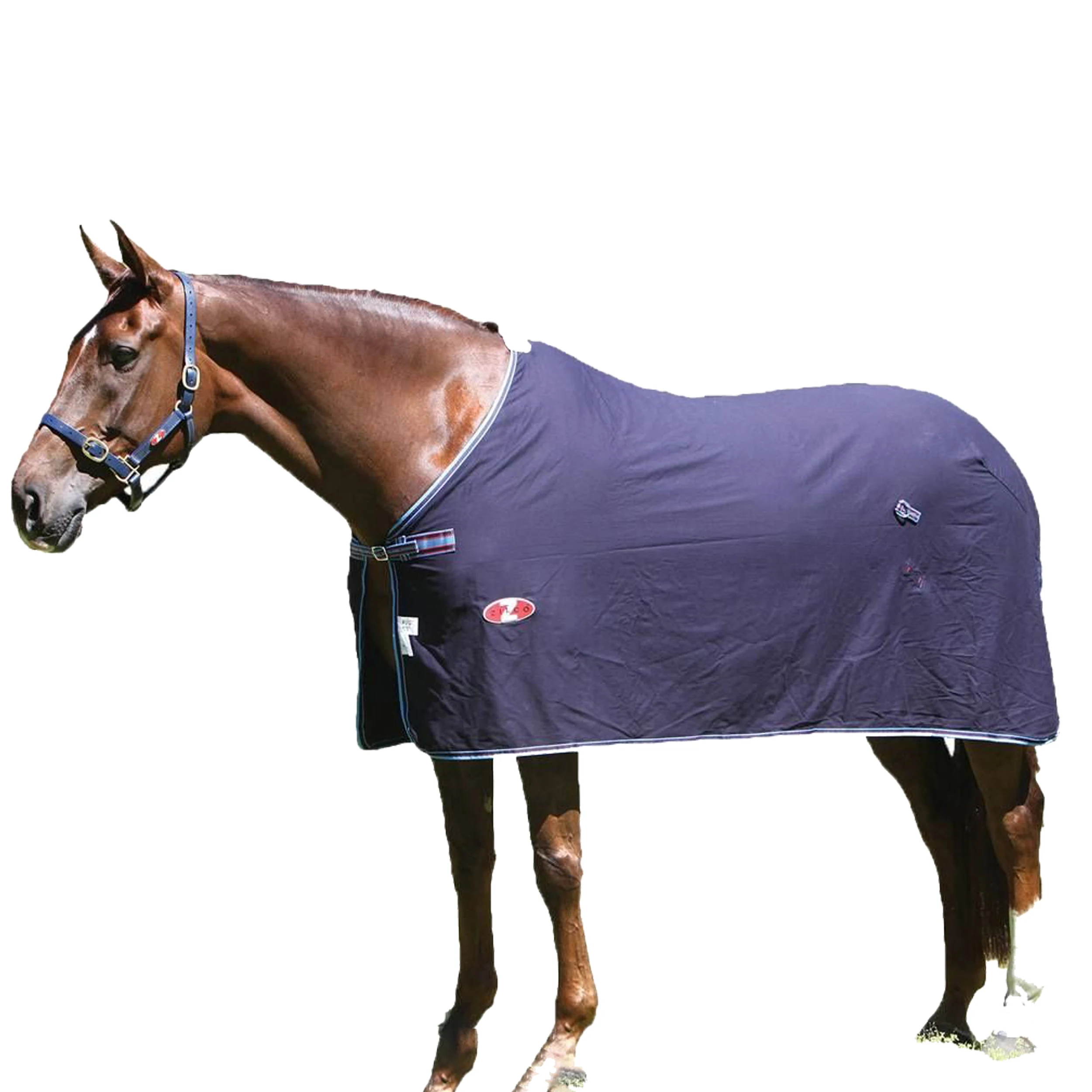 Horse Equipment Cotton Winter Equine Products Breathable Saddle Equestrian Waterproof Horse Rugs Neck Cover Blanket Pink Purple