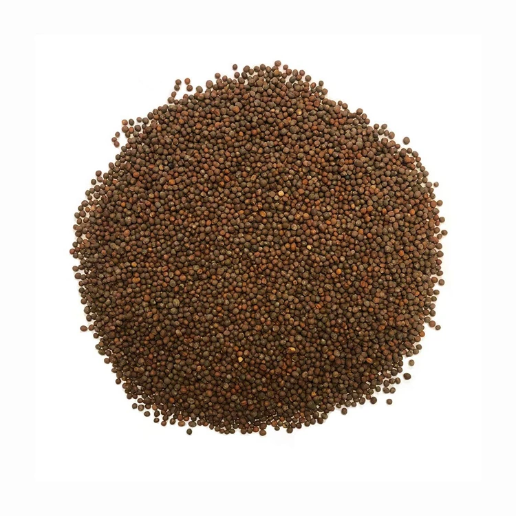supply Broccoli Seed extract 1% for sale