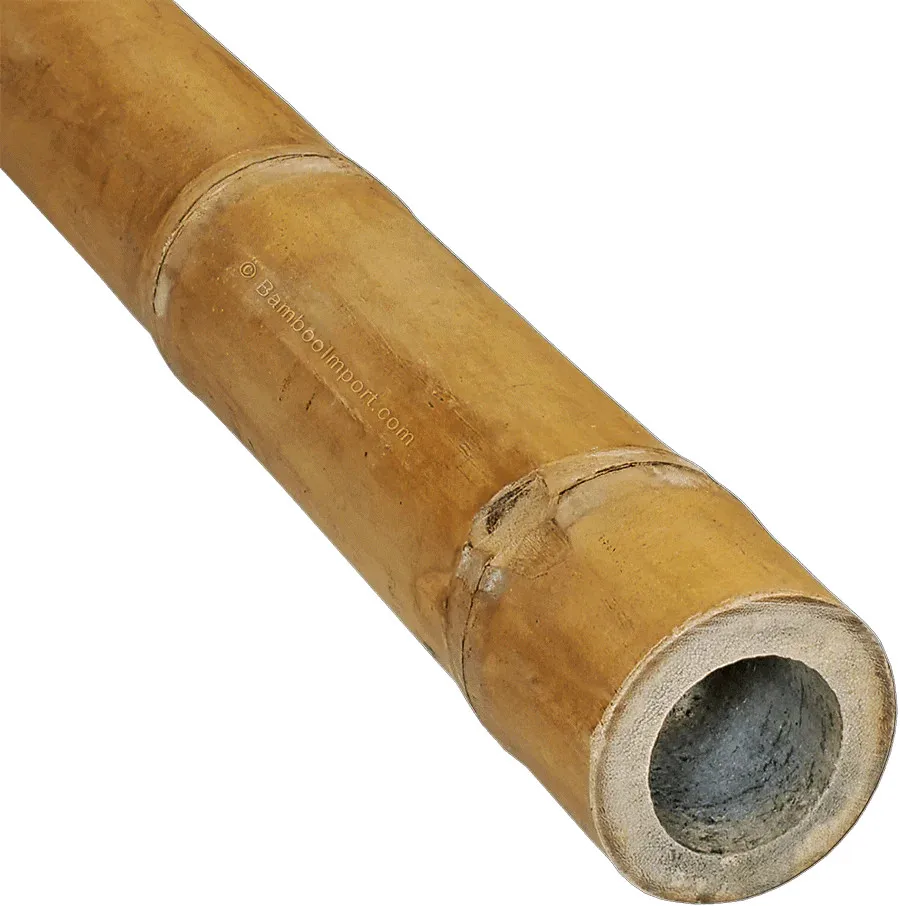 BAMBOO POLES MATERIAL 100% NATURAL FROM VIET NAM