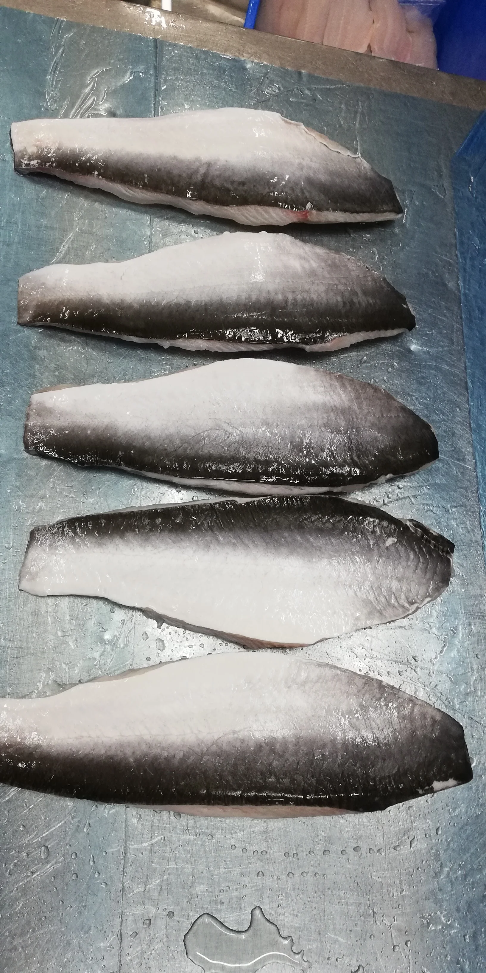 Vacuum Pack Supplier Part Style Best Price Negotiation Support frozen pangasius fillet price Pangasius from Vietnam