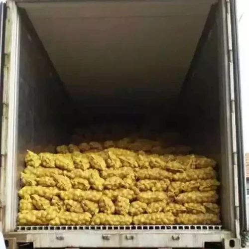 Most Popular vegetable fresh potato export potato wholesale price