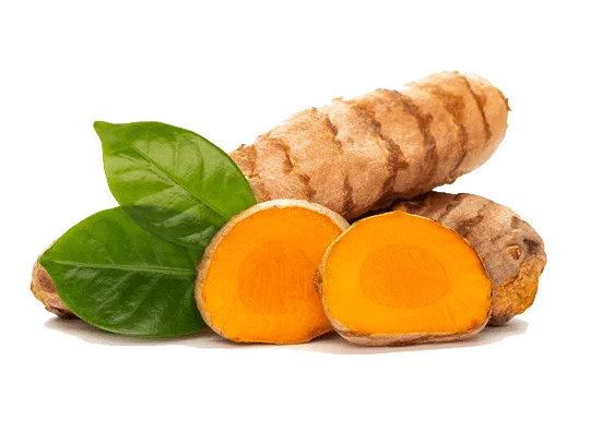 Indian Curcumin-Rich Turmeric Fingers High-Quality Curcuma Longa Fingers Bulk Turmeric Fingers for Wholesale Spice-Grade