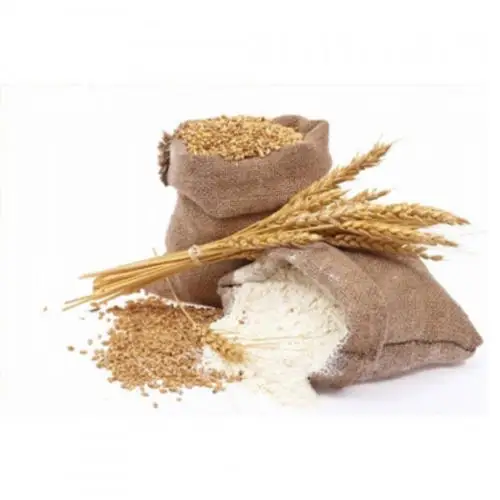 Snow White Wheat Flour