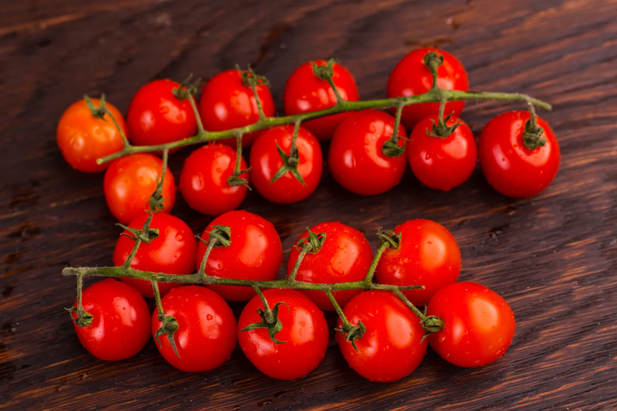 Environmentally friendly tomato for sale from direct agricultural producers  bulk in price