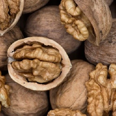 Заводская цена грецкий орех в скорлупе