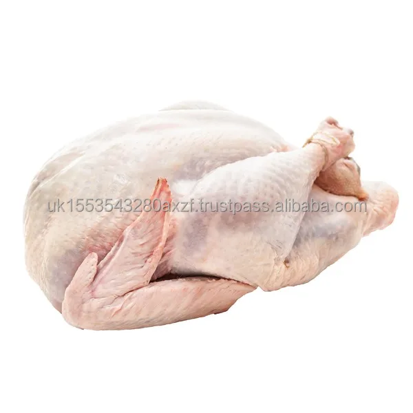 turkey meat6.jpeg