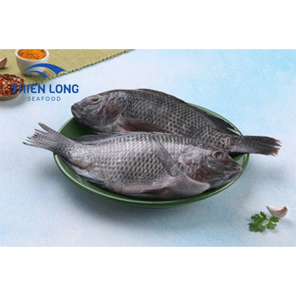 Asia Market Top Sellers Bulk Tilapia Fish Food Whole Round Black Tilapia Wholesale From Vietnam
