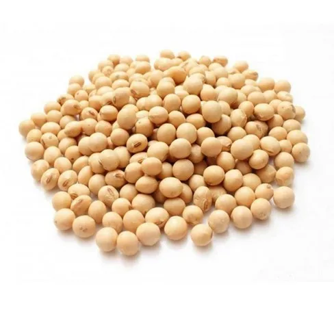 Good Quality Soya Bean / Soybeans Seeds Soy Bulk Customized Package Organic Dried High Protein