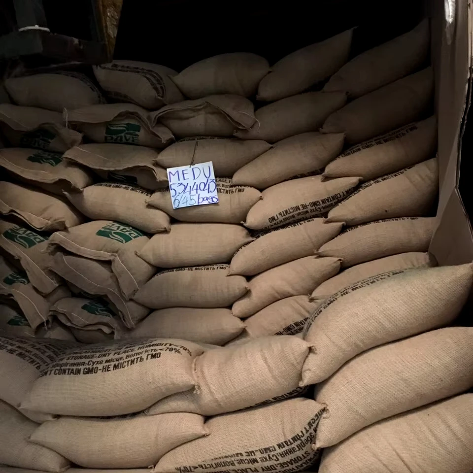 NEW CROP 2024-2025 ROBUSTA COFFEE BEAN SCR 13, 16, 18  FROM VIETNAM (Mob/ whatsapp/ viber: 0084 398885178)