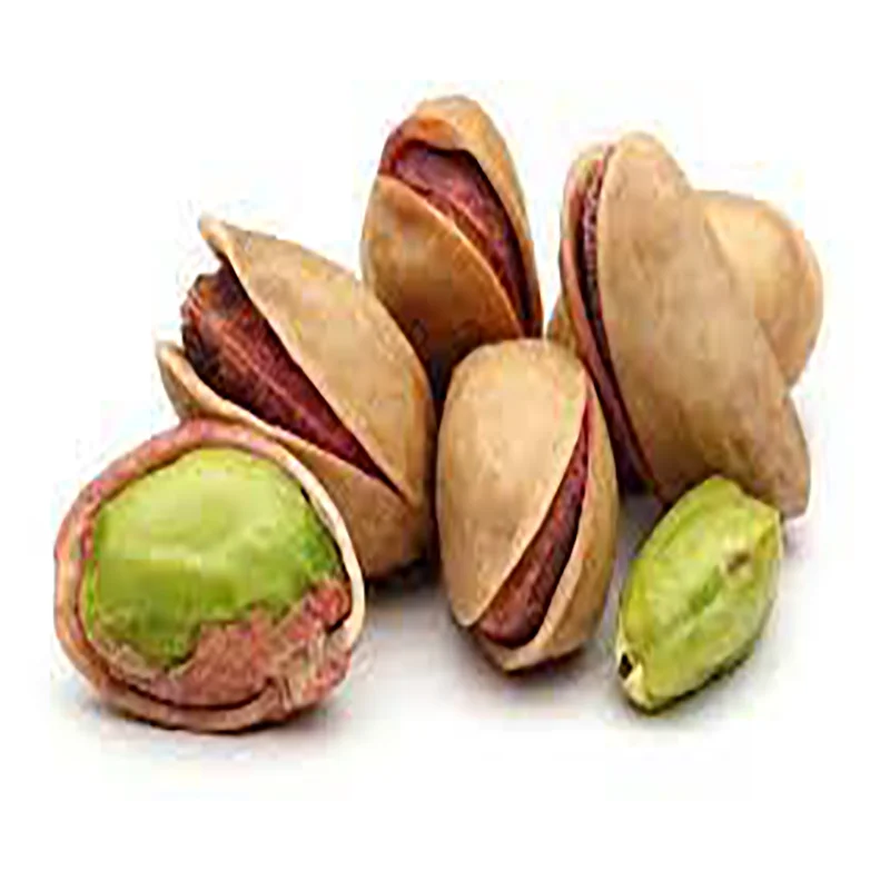 High Quality Selected Non-GMO high protein Pistachio high grade Product from Uzbekistan Pistachio nuts in shell for food