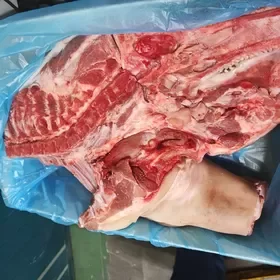 frozen pork meat