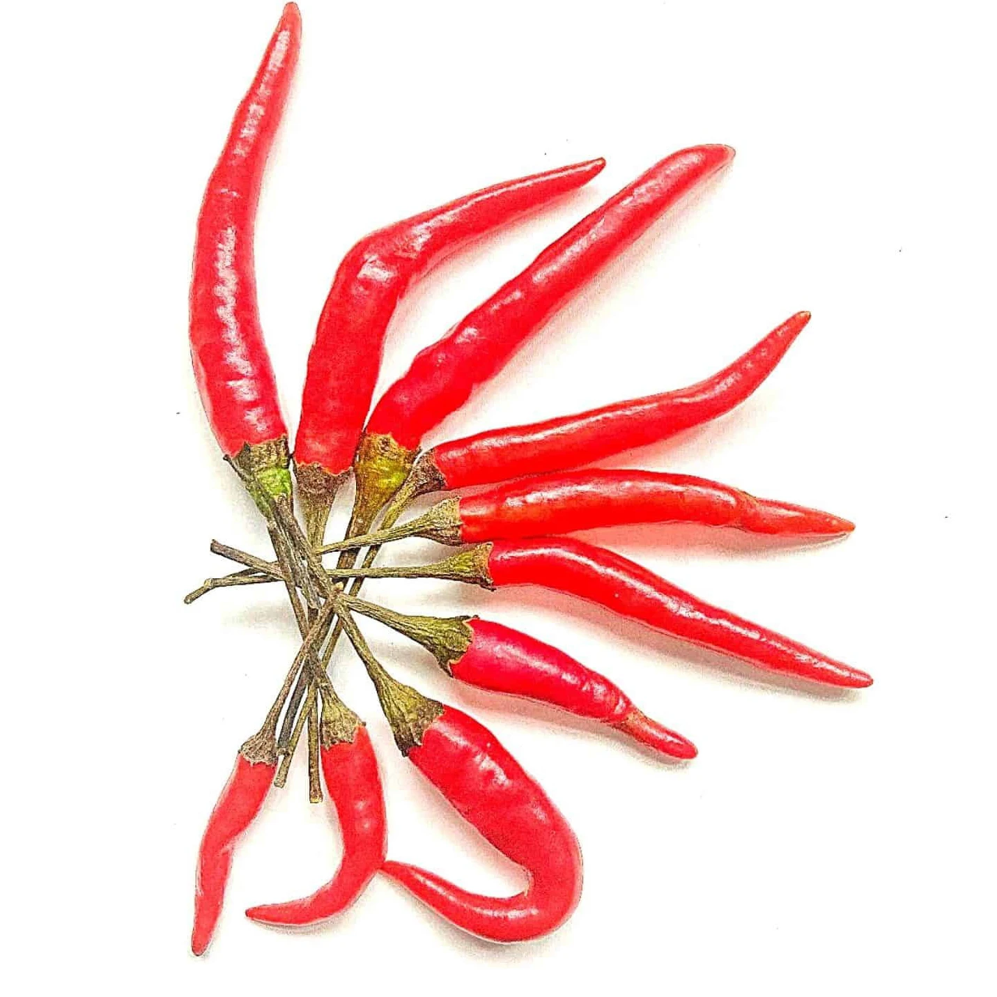 Cheap Price High Quality Natural Dry Red Hot Chili Wholesale Chili Pepper Seeds For Sale In bulk