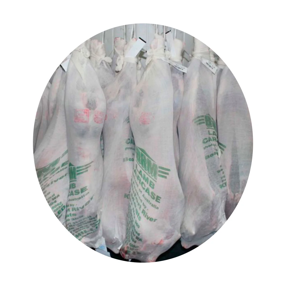 Туша ягненка свежее мясо от производителя цены целые туши ягненка для продажи