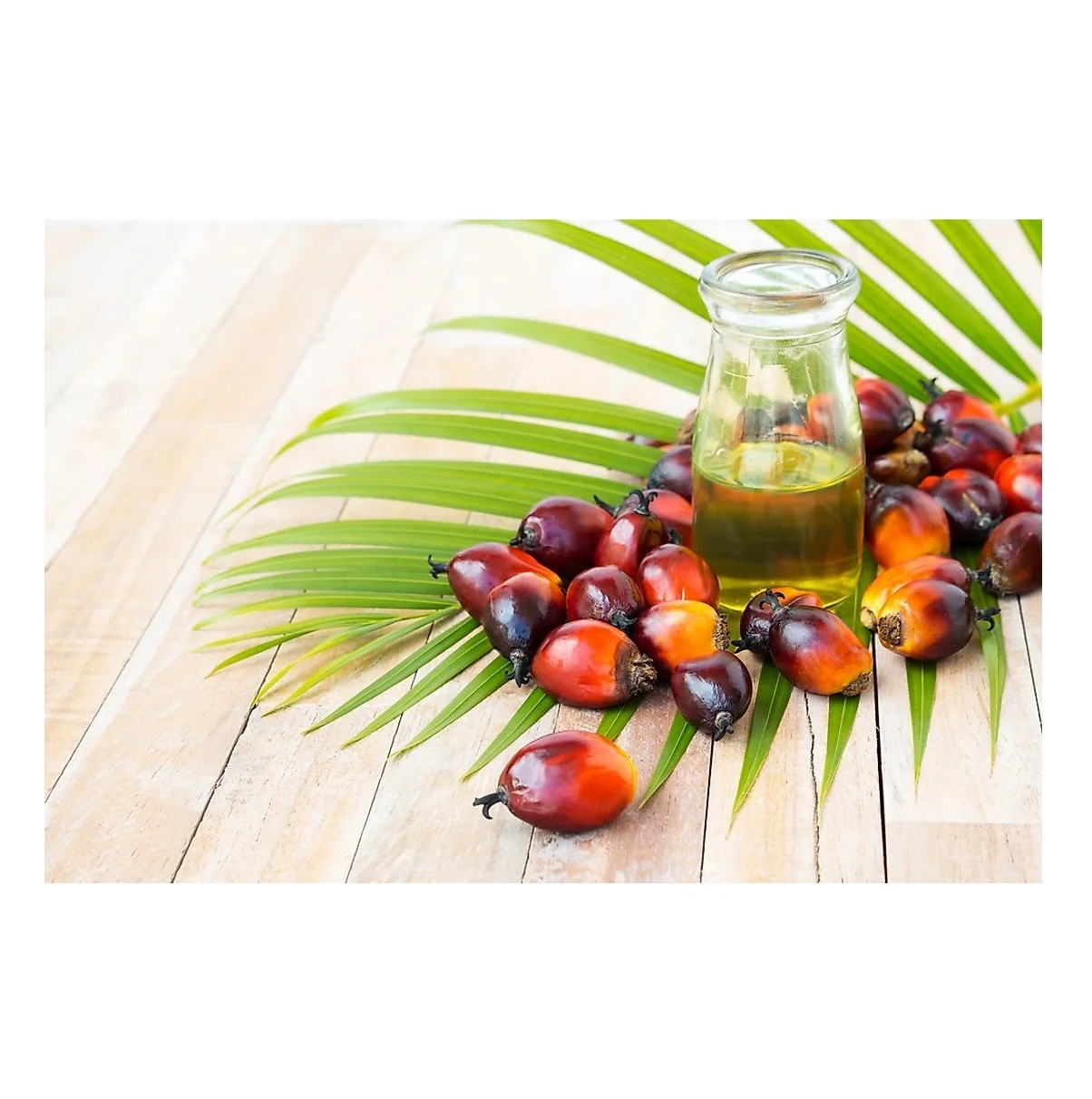 Good Quality Cheap Price RBD Palm Olein - Crude Palm Oil 100% Refined Oil For Export