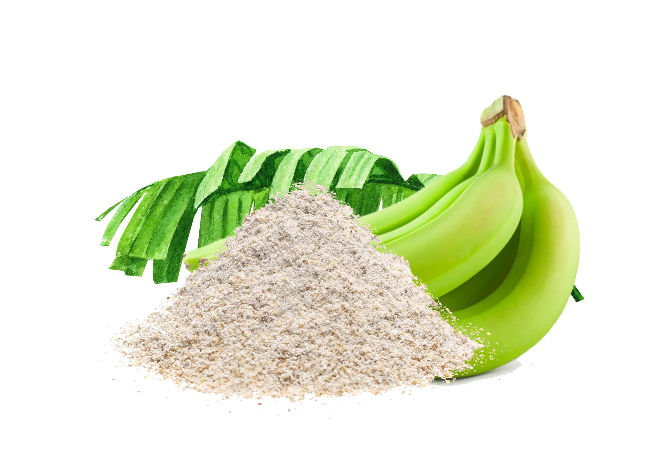 High Quality green banana powder food grade