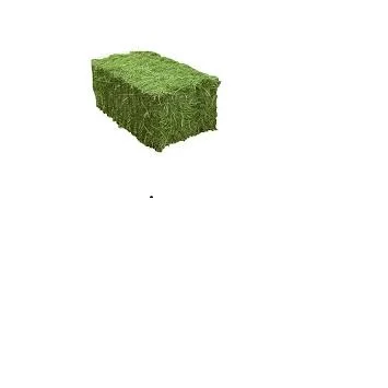 Quality alfalfa hay bays / Alfaifa pellets / Dehydrated Alfalfa for sale Alfalfa Hay, Rhodes Grass, Oats Grass for sale