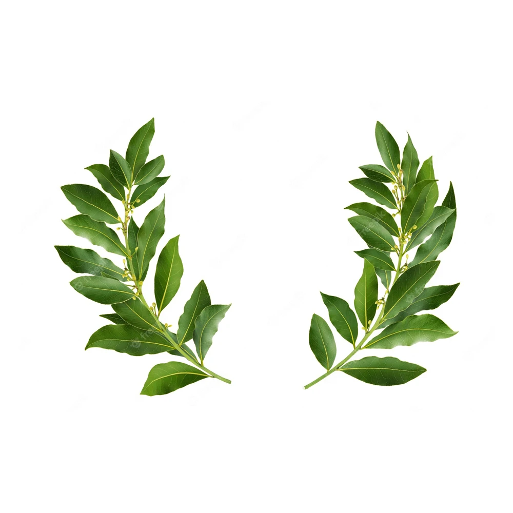Extending Laurel Fence With Leaves Nice Screening Artificial Leaf Hedge Fence