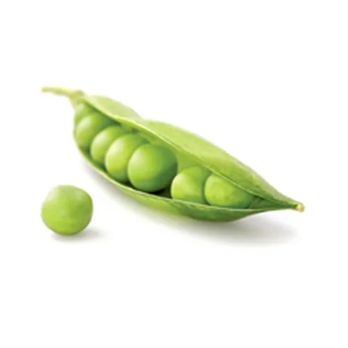 Foods factory direct sales iqf frozen green peas wholesale and export of frozen green peas