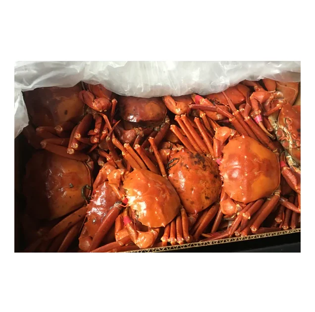 Original Fresh / Frozen Sea Crab At Cheap Wholesale Price
