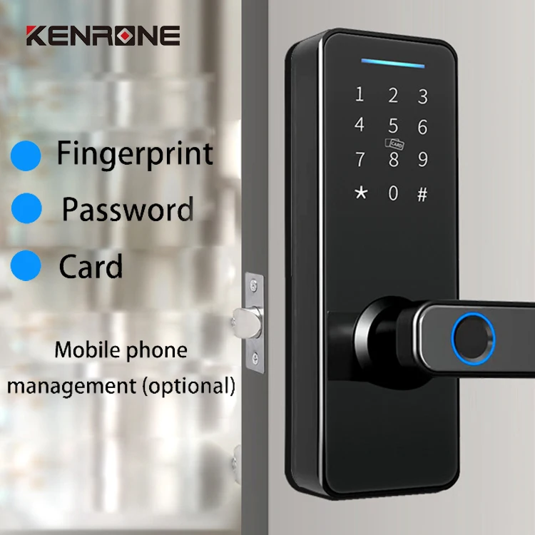 High Security Anti Theft Smart Door Lock  Blue Tooth Ttlock Electronic Fingerprint Smart Lock