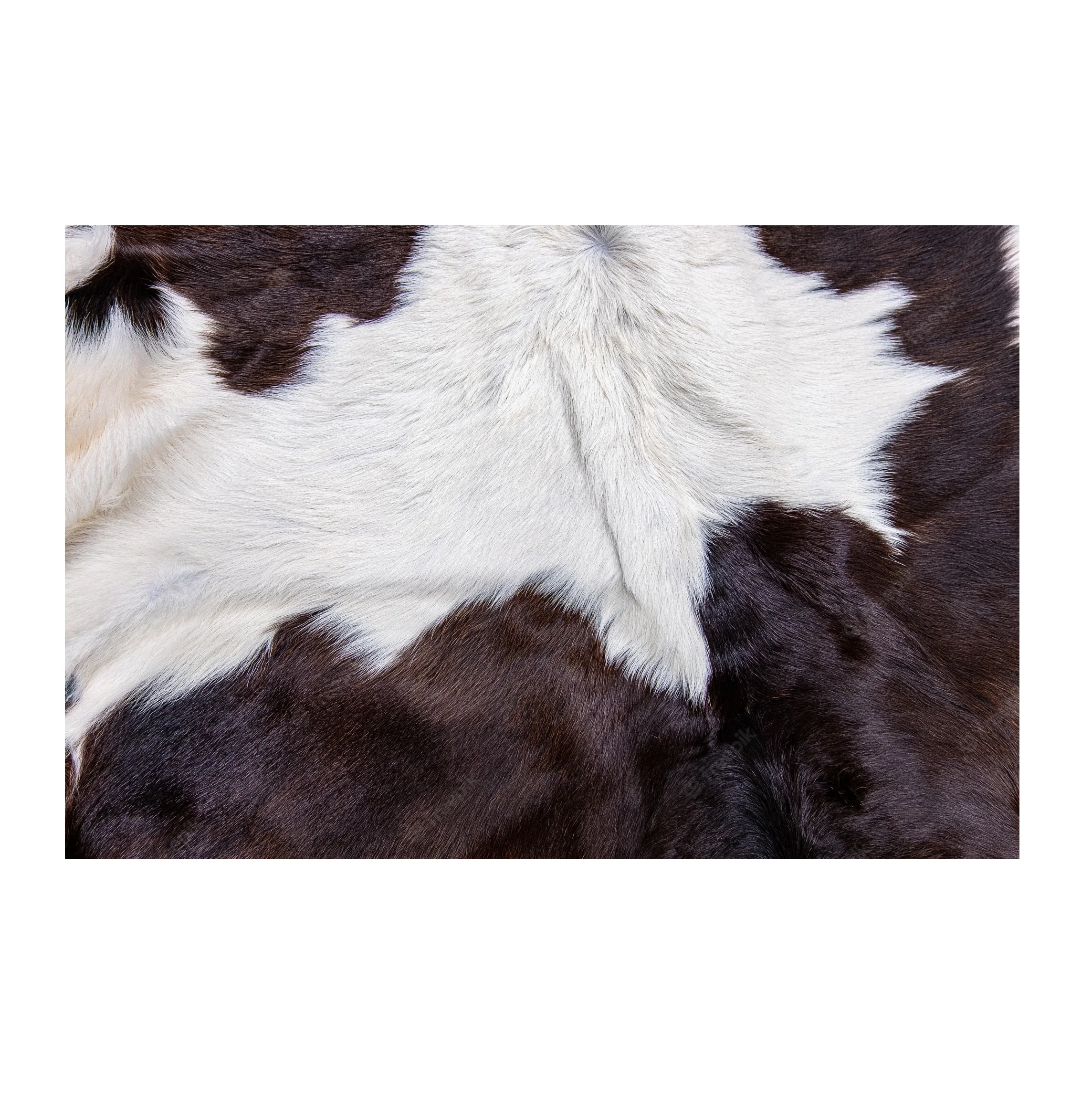 Best Price Dry And Wet Salted Cow Hides / Skins / Animal Cattle Hides Available In Bulk