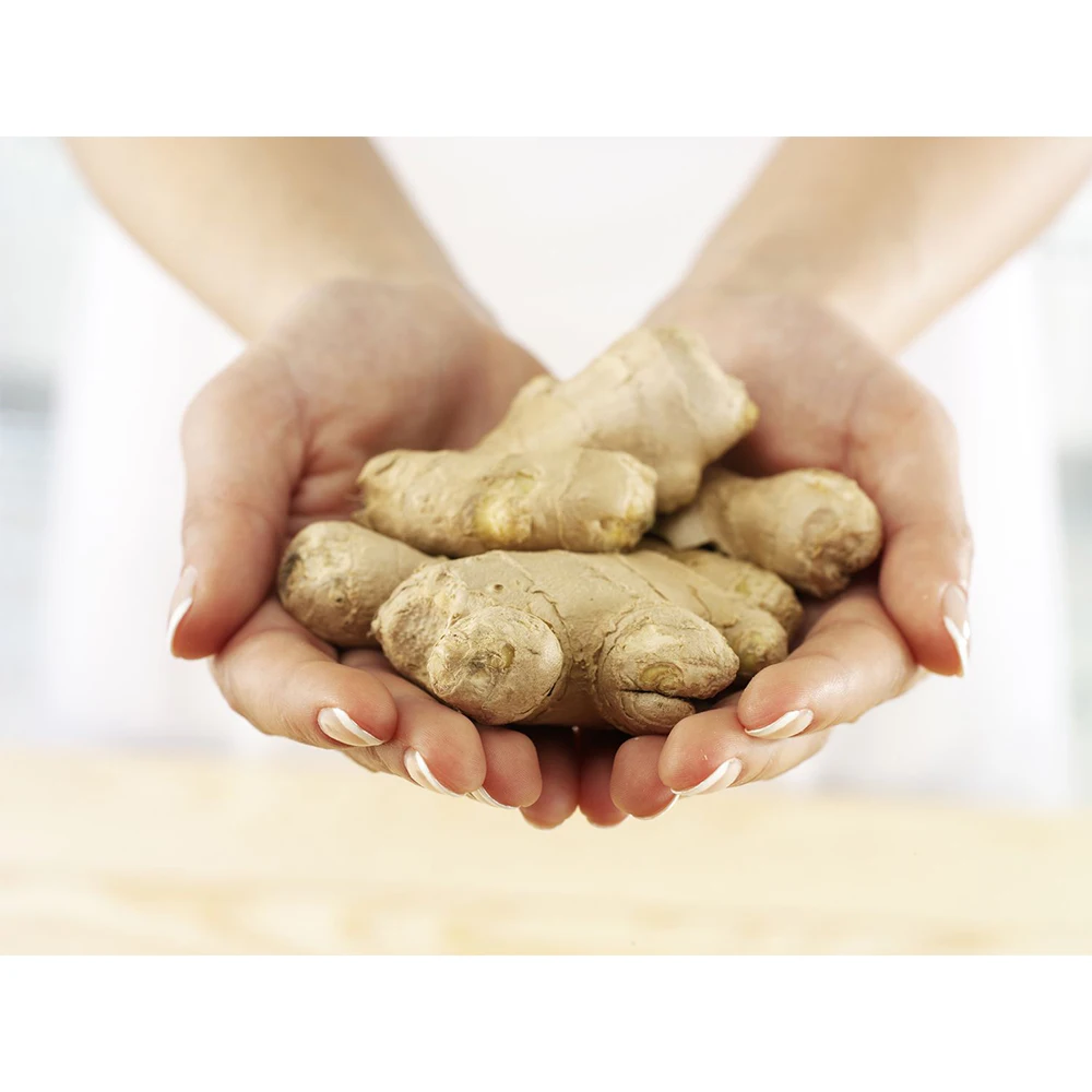 New arrival of fresh ginger new crop from Vietnam wholesale exporters with ginger root market price for export in bulk