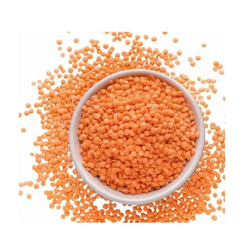 Wholesale Price Organic Canadian Red Lentils / Split Red Lentils Bulk Stock Available For Sale