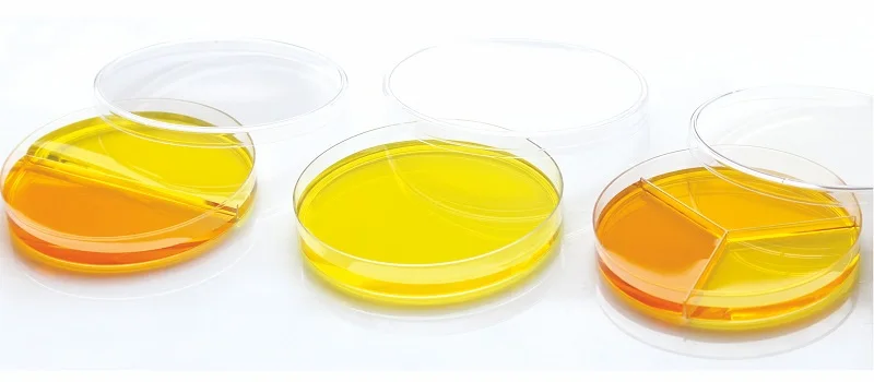 Disposable Medical PS Petri Dish With Grid Quality Assured Plastic Tissue Culture Petri Dish Supplier From India