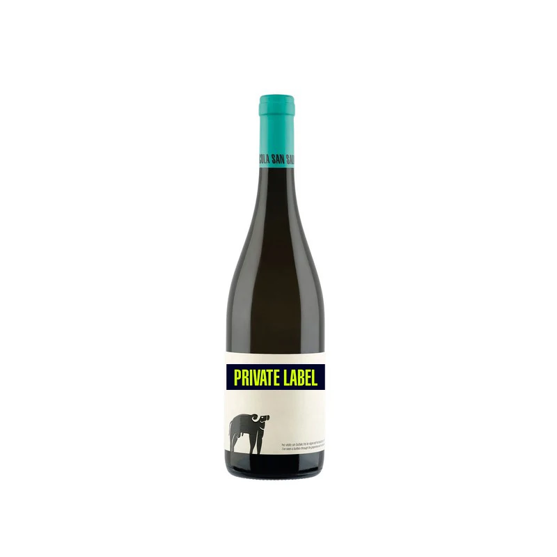 Top Quality Palinure Italian IGP White Wine Medium Dry Table Wine 13% alc Glass Bottle 0,75L 6 bottles*box Drink Private Label