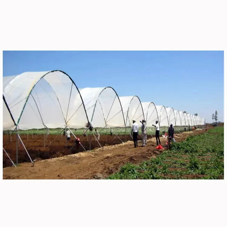 Plastic film Outdoor Growing Tent Greenhouses Garden Yard for Outdoor Berry Planting Rain Shelter Greenhouse