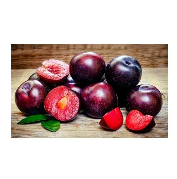 Cheapest Price Supplier Bulk Fresh Fruits Plums With Fast Delivery