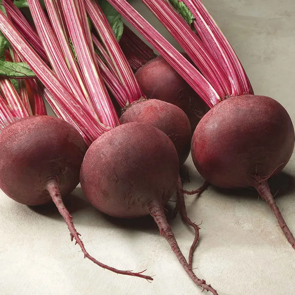 Nutrient-Rich Red Beetroot: Hot Selling Common Use Vegetable with Iron, Phosphorus, and Potassium