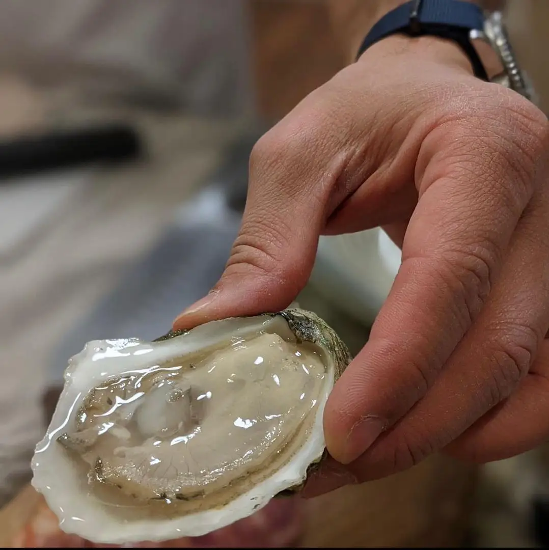 Affordable Popular shellfish export manufacturers frozen Japanese sea scallop