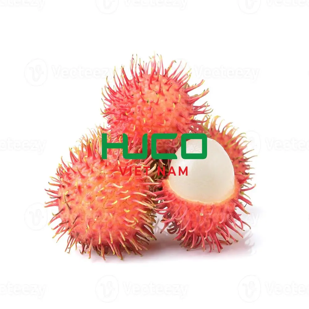 Best Quality Good Price 100% Organic Fresh Rambutan From Vietnam