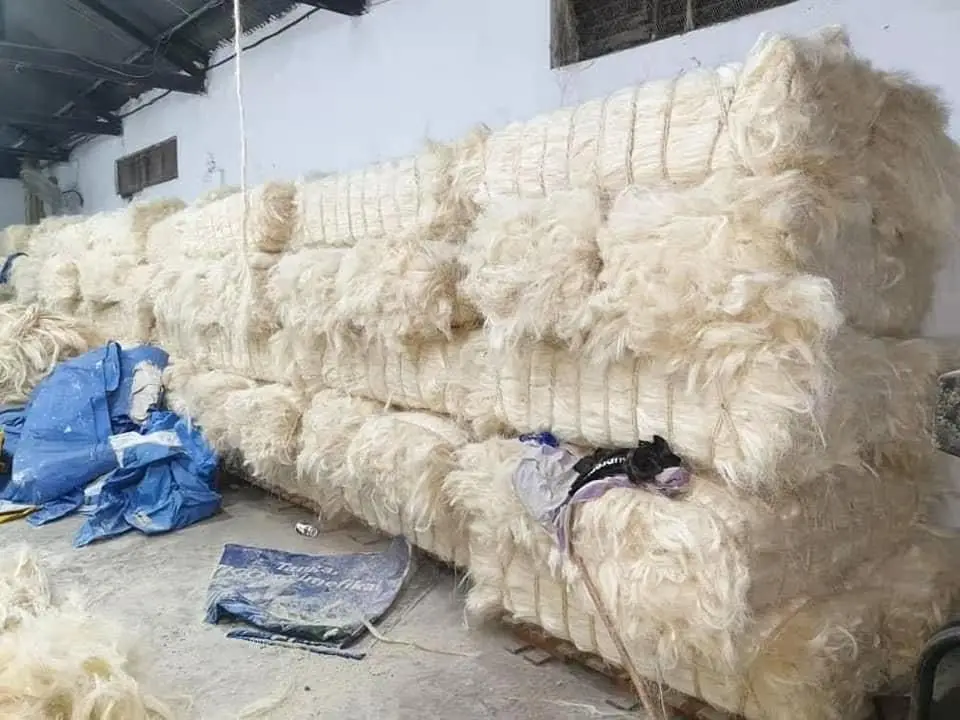 Sisal Fiber Raw Material and Sisal in Bulk for Export Fibre with special Feature of Sun Dried Sisal Fiber at Wholesale Prices