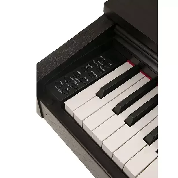 Durable 88 Keys Musical Instrument Soft Sostenuto Damper Upright TMW 520 Nice Color Digital Piano for Beginner