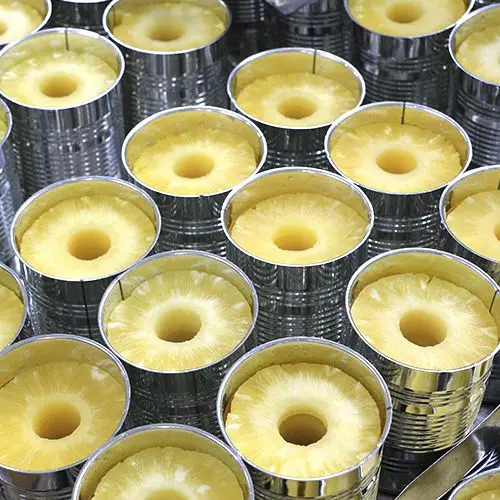 canned pineapple slices4.jpg