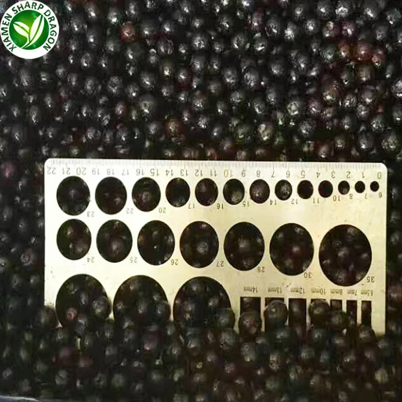 Good Price Import bulk berries fruits prices frozen fresh blueberries iqf