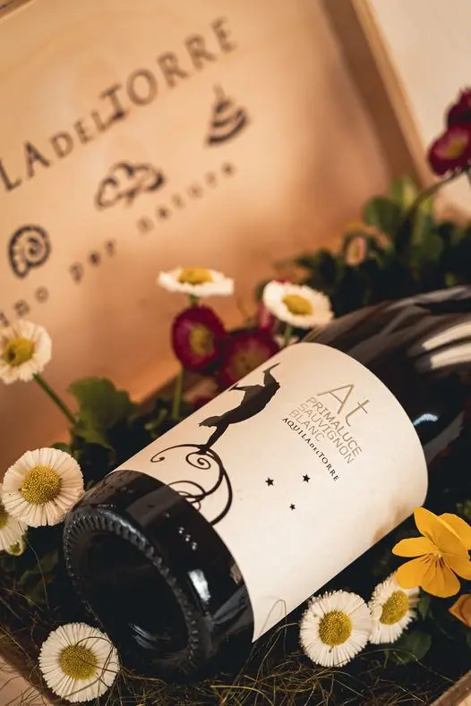 Высококачественный Итальянский биодинамический Refosco Dal Peduncul красный 75 Cl