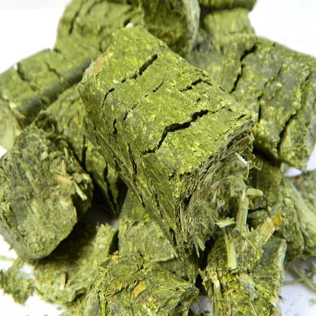 High quality abalone feed manufacturers direct sales