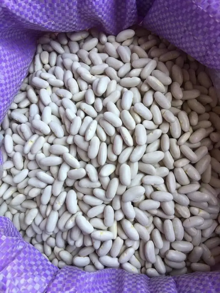white kidney beans at wholesale prices