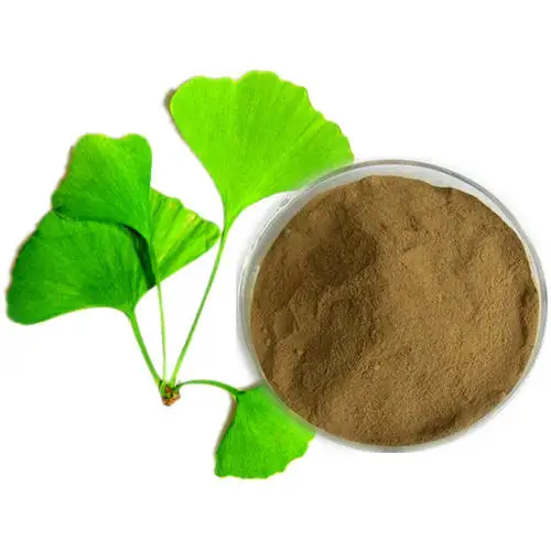 Wholesale Price Grade Ginkgo Biloba Leaf Extract Organic Ginkgo Biloba Extract Powder Gingko Extract