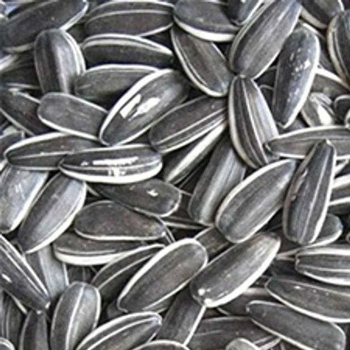 Органические семена подсолнечника в скорлупе 100% органические сырые ядра семян по дешевой оптовой цене