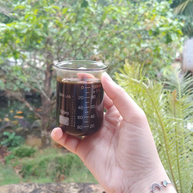 Cashew Nut Shell Liquid Oil Viet Nam high quality CNSL cashew nut shell oil extraction machine