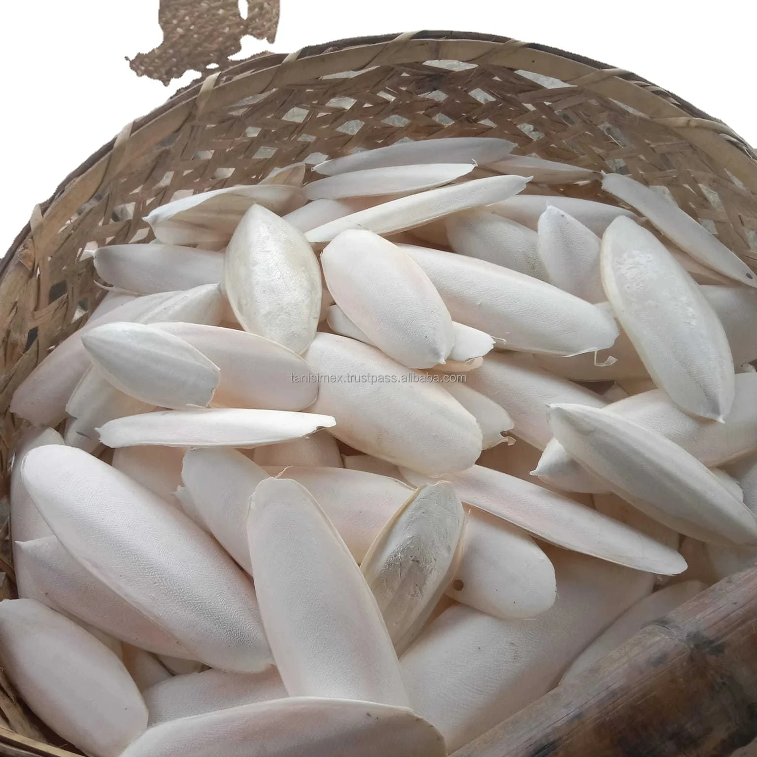 EXOTIC PET INDUSTRY ESSENTIAL: WHOLESALE DRIED CUTTLEFISH BONE AVAILABLE NOW